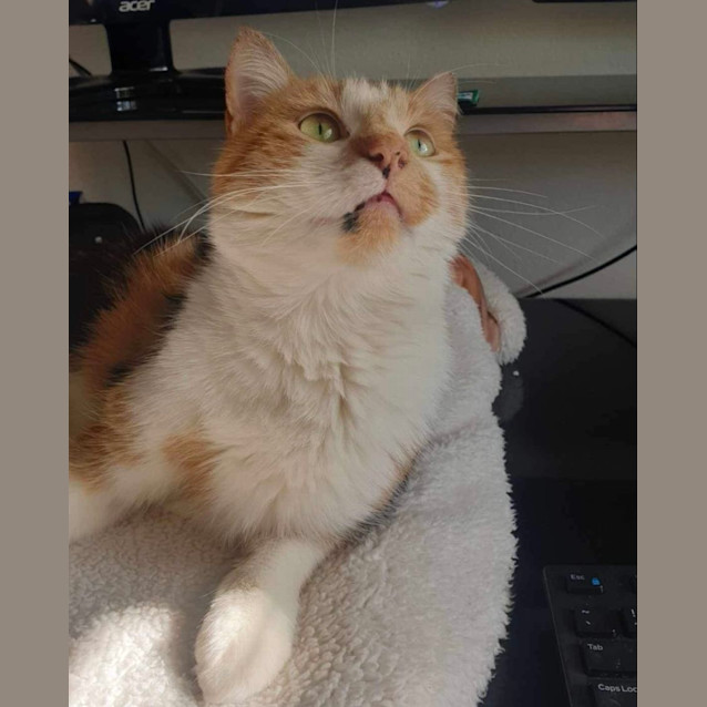 Photo of 🧡 June 🧡 