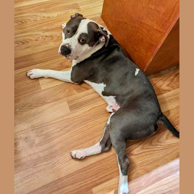 Photo of Kovu