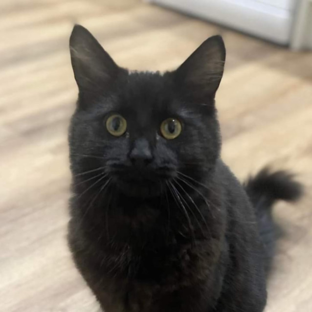 Photo of Catrick Swayze