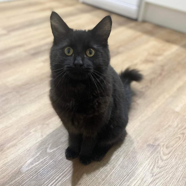 Photo of Catrick Swayze