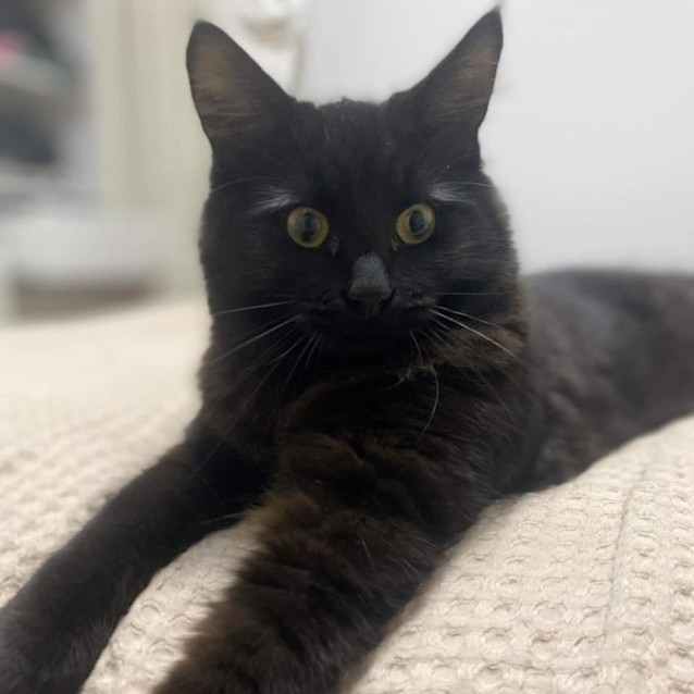 Photo of Catrick Swayze