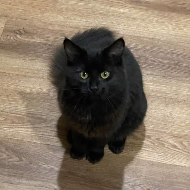 Photo of Catrick Swayze