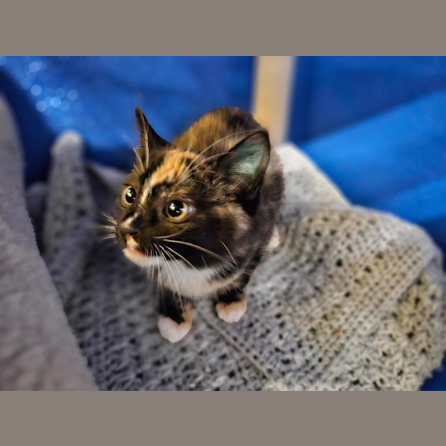 Photo of Hazel