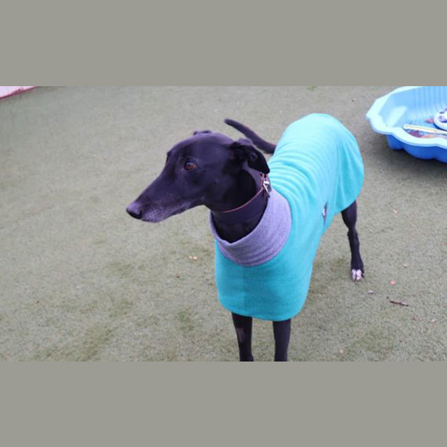 Photo of Kobe