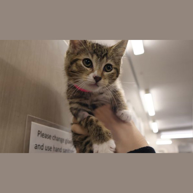 Photo of Arya