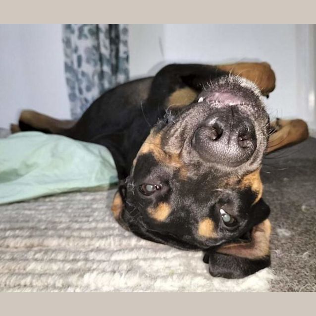 Photo of Gabbie