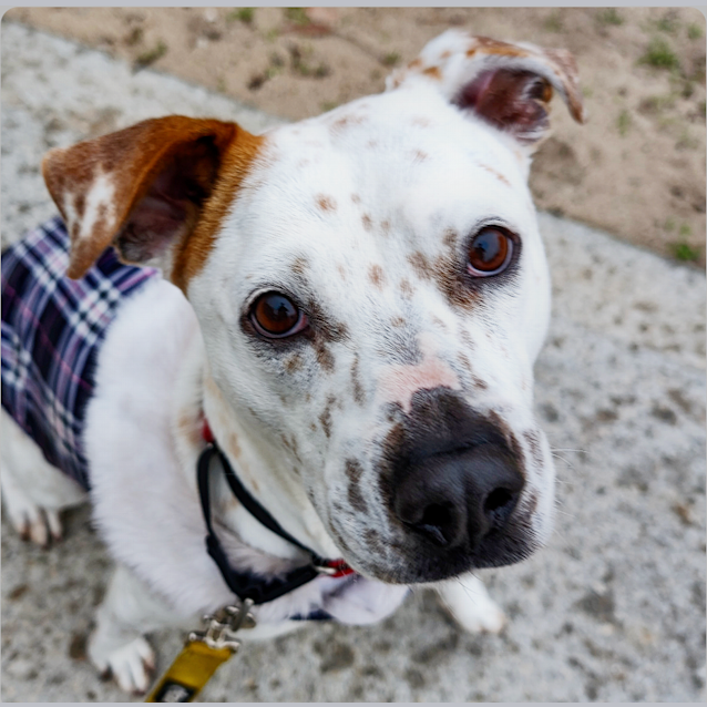 Photo of Jessie