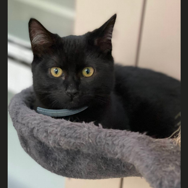 Photo of Ferris (6506)