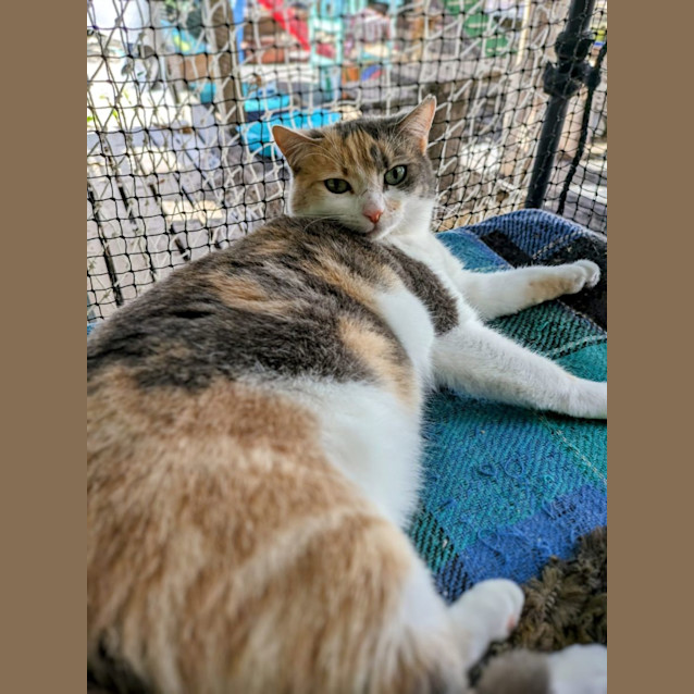 Photo of Buffy