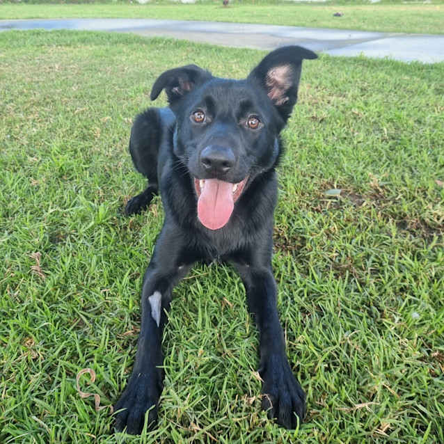 Photo of Specky 