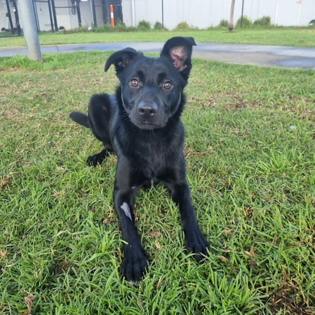Photo of Specky 