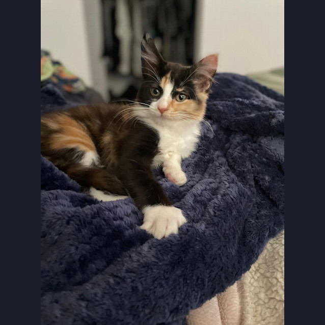 Photo of Ivy