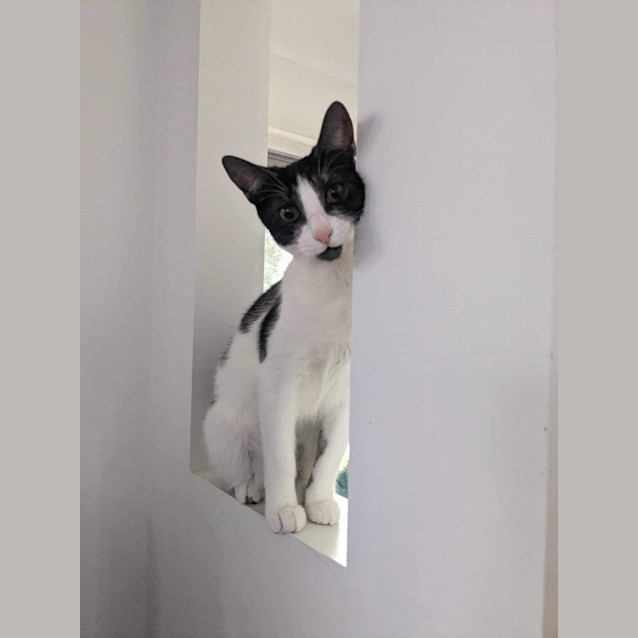Photo of Dotti