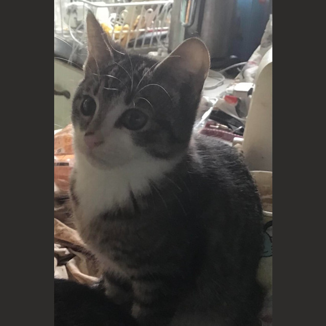 Photo of Barry