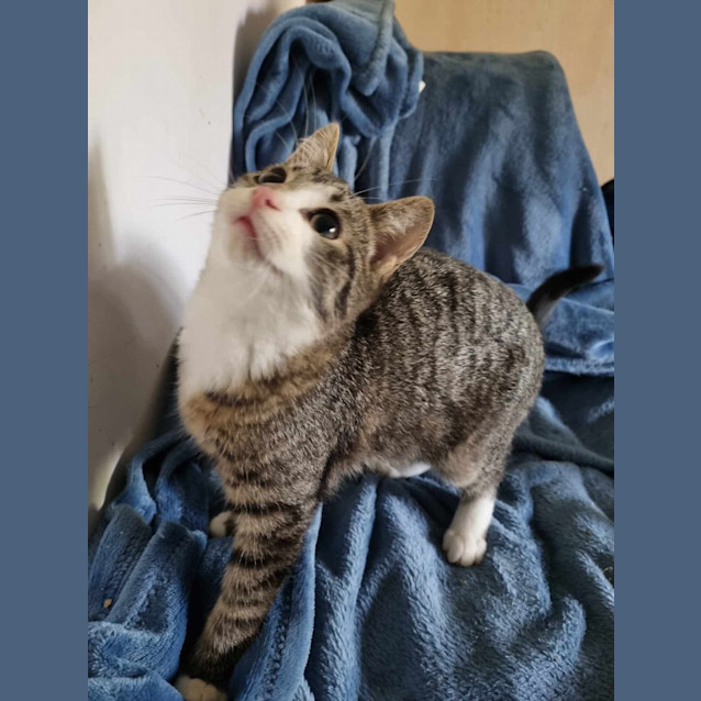 Photo of Barry