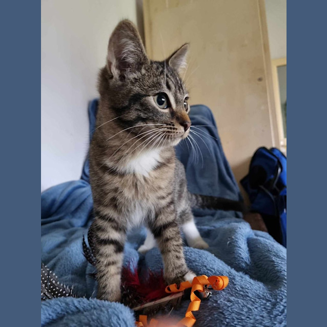 Photo of Maurice