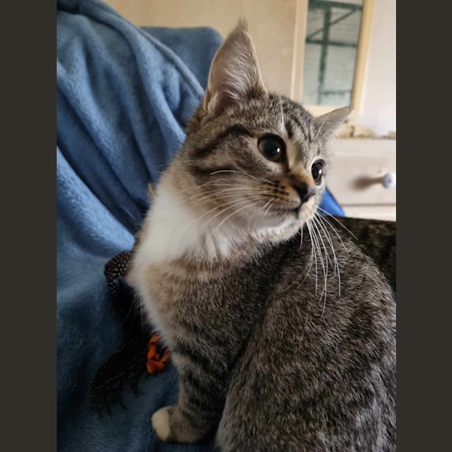 Photo of Maurice