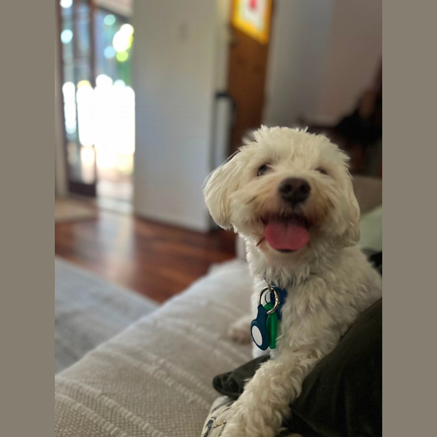 Photo of Charlie Bates 