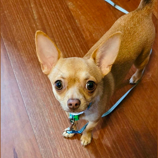 Photo of Pablo And Daisy 