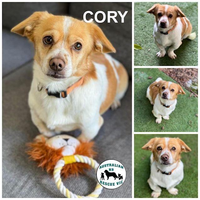 Photo of Cory