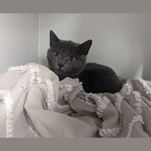 Photo of Hugo