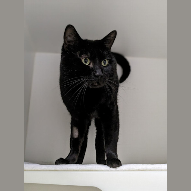 Photo of 🕶Lester 5195🕶