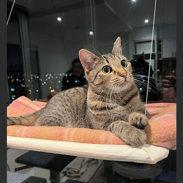 Photo of ❤️ Ruby ❤️