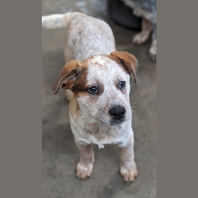 Photo of Bingo