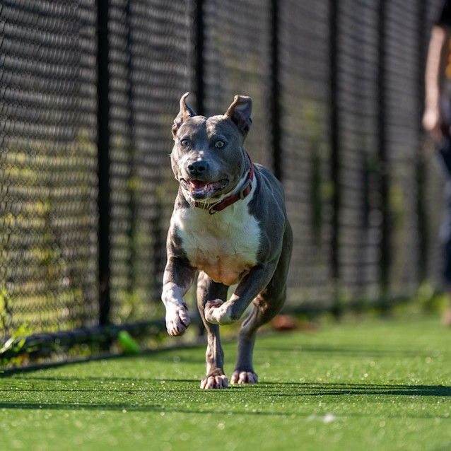 Photo of Tina Imp 2495