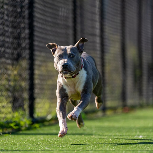 Photo of Tina Imp 2495