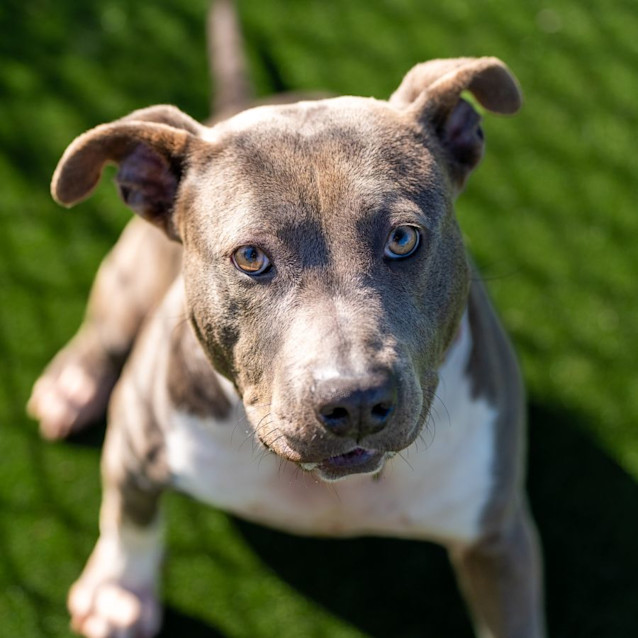 Photo of Tina Imp 2495