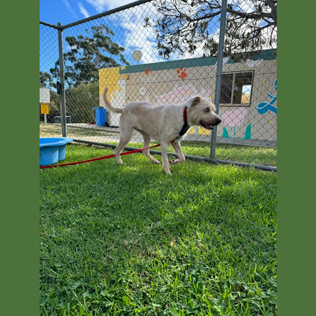 Photo of Blue