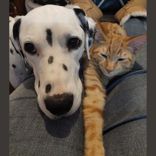 Photo of Max Ver Catten