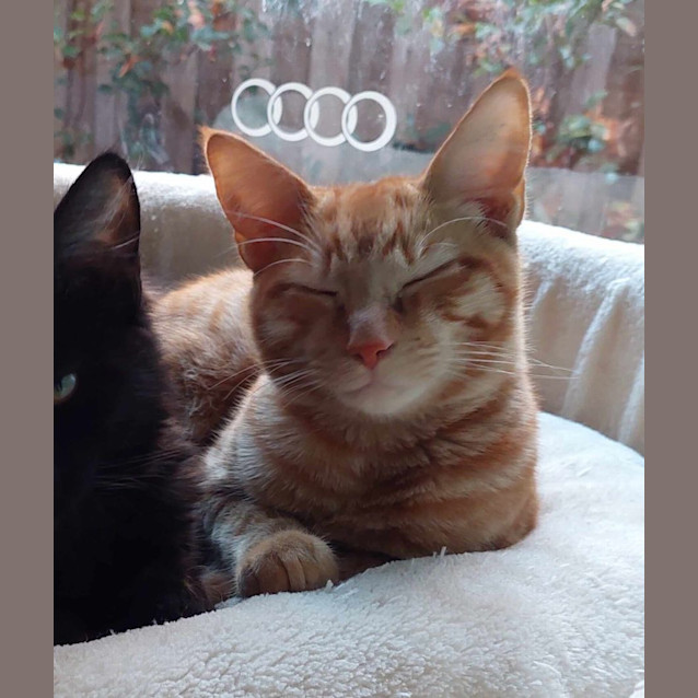 Photo of Max Ver Catten