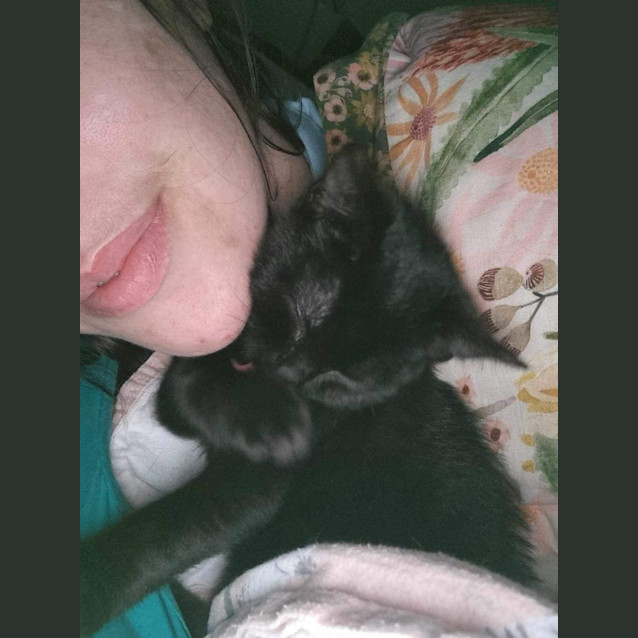 Photo of Fantastic Fudge