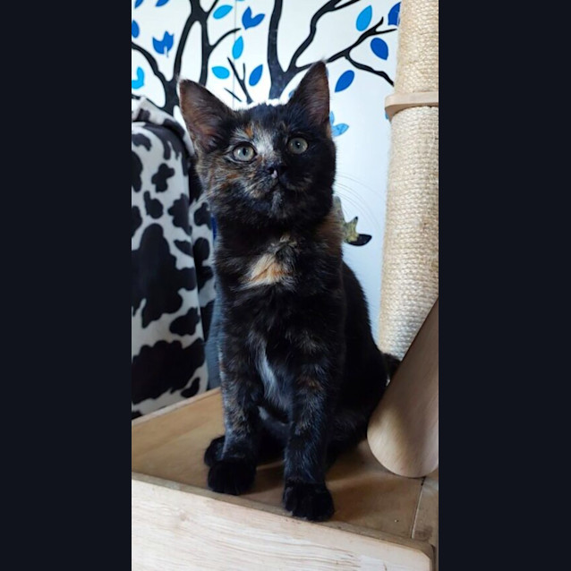 Photo of Kylie Minogue