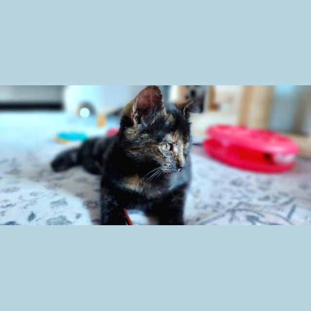 Photo of Kylie Minogue