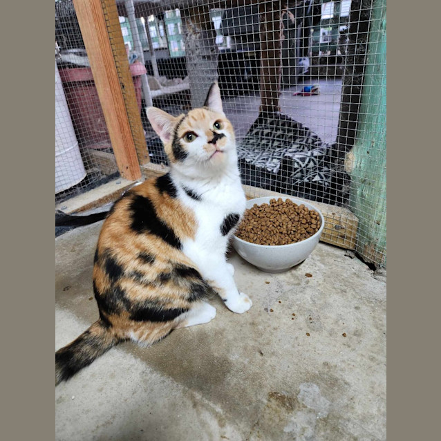Photo of Freya