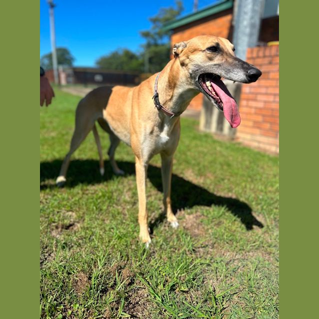 Photo of Ruby