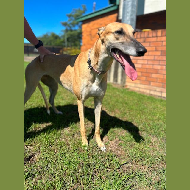 Photo of Ruby