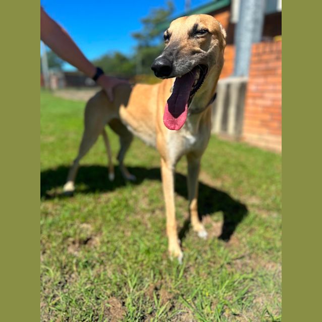 Photo of Ruby