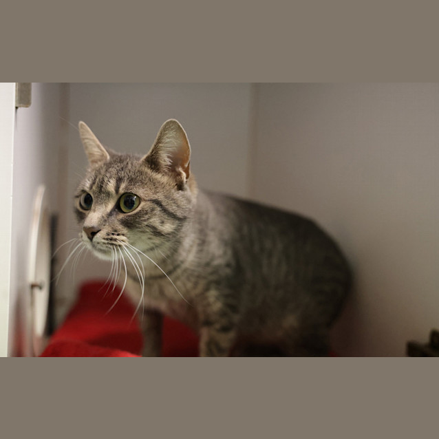 Photo of M'lady