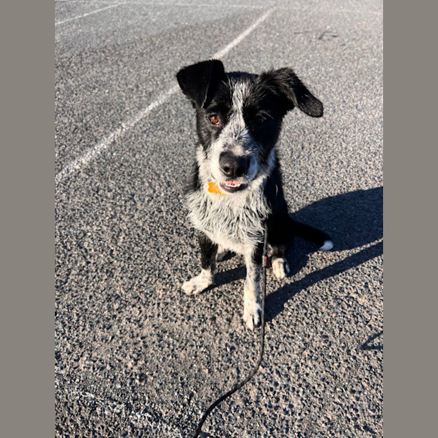 Photo of Chuck