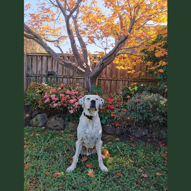 Photo of Polar