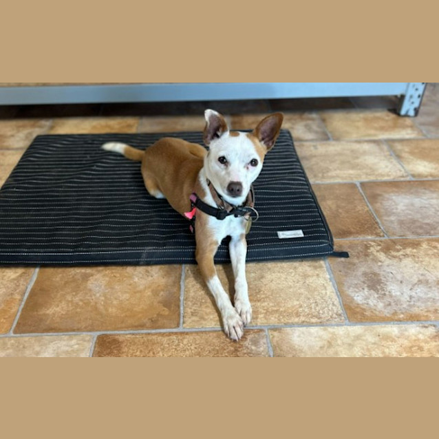 Photo of Mitzi