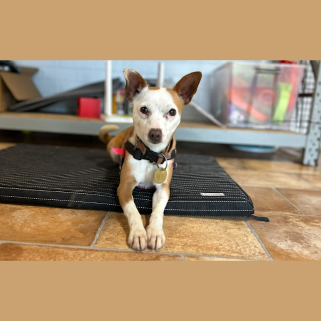 Photo of Mitzi