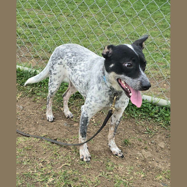 Photo of Sandy   63433