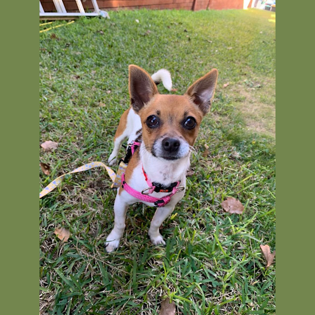 Photo of Amelie