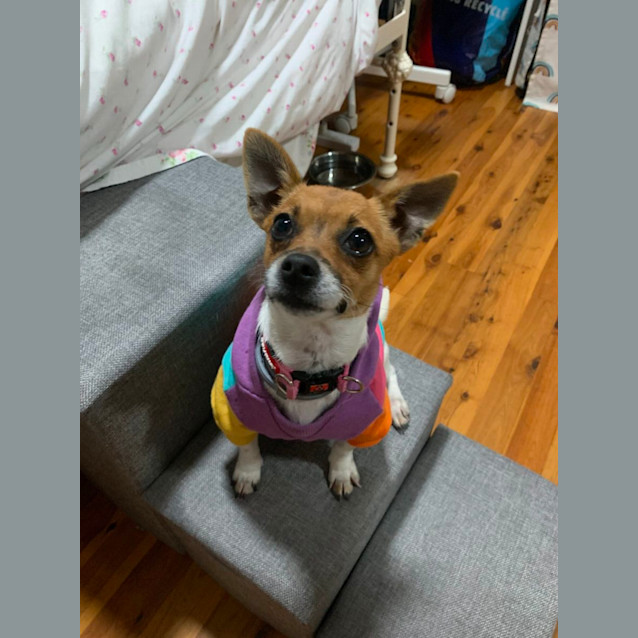 Photo of Amelie