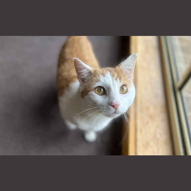 Photo of Wally Wiggle Worm